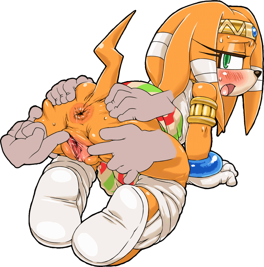 Tikal The Echidna Char Collection page 6 full