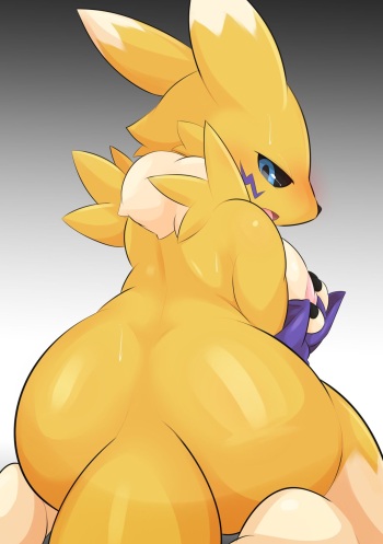 Renamon Group Sex cover