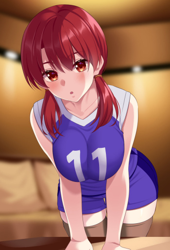 2022 Volleyball Series cover