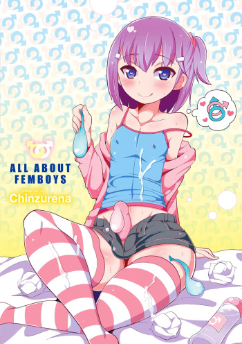 Mesuiki Ochinpikku - All About Mesu Shounen cover