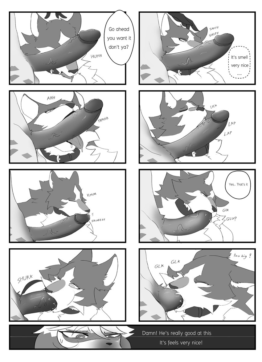 BNA page 6 full