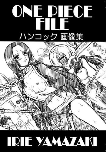 ONE PIECE FILE Hancock Gazoushuu cover