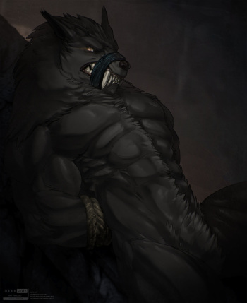 Werewolf cover