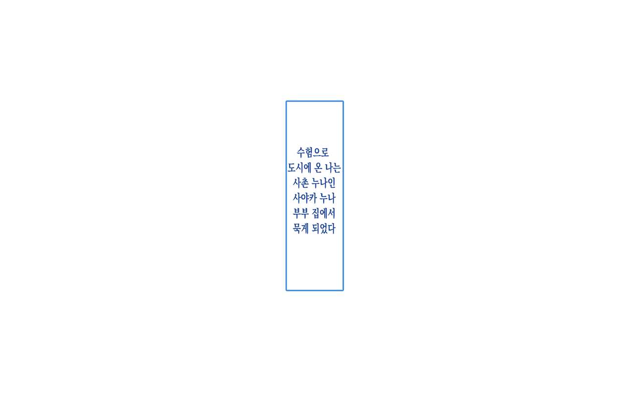 Tokai no Onee-chan to Juken Mae no Docha Ero Icha Love Sex | 도시에 있는 누나와 수험 전 개야한 꽁냥꽁냥 섹스 page 2 full
