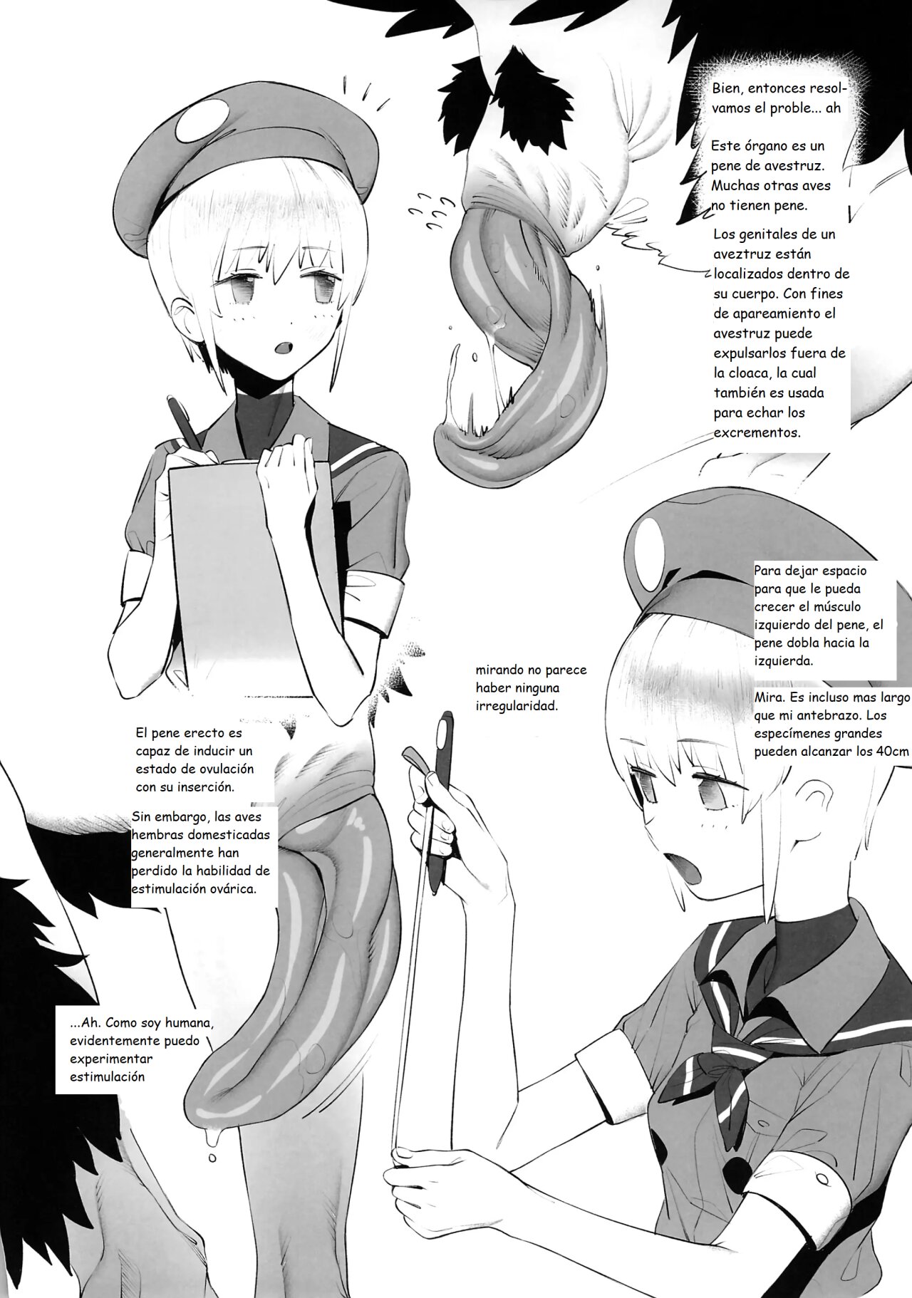 Tori no Kimochi Ii page 4 full