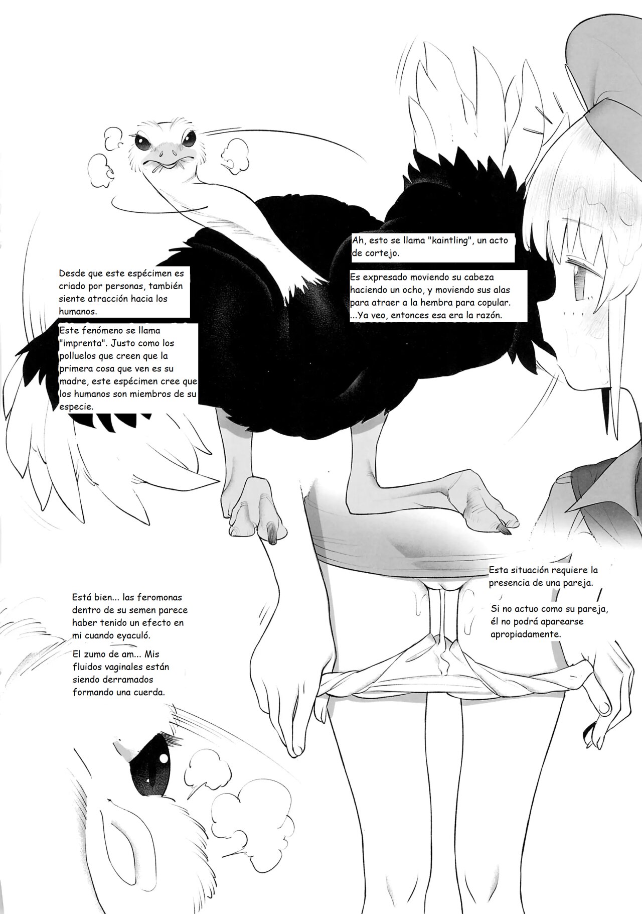 Tori no Kimochi Ii page 8 full