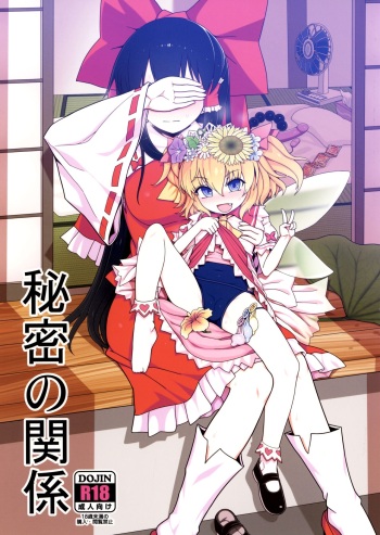 Himitsu no Kankei cover