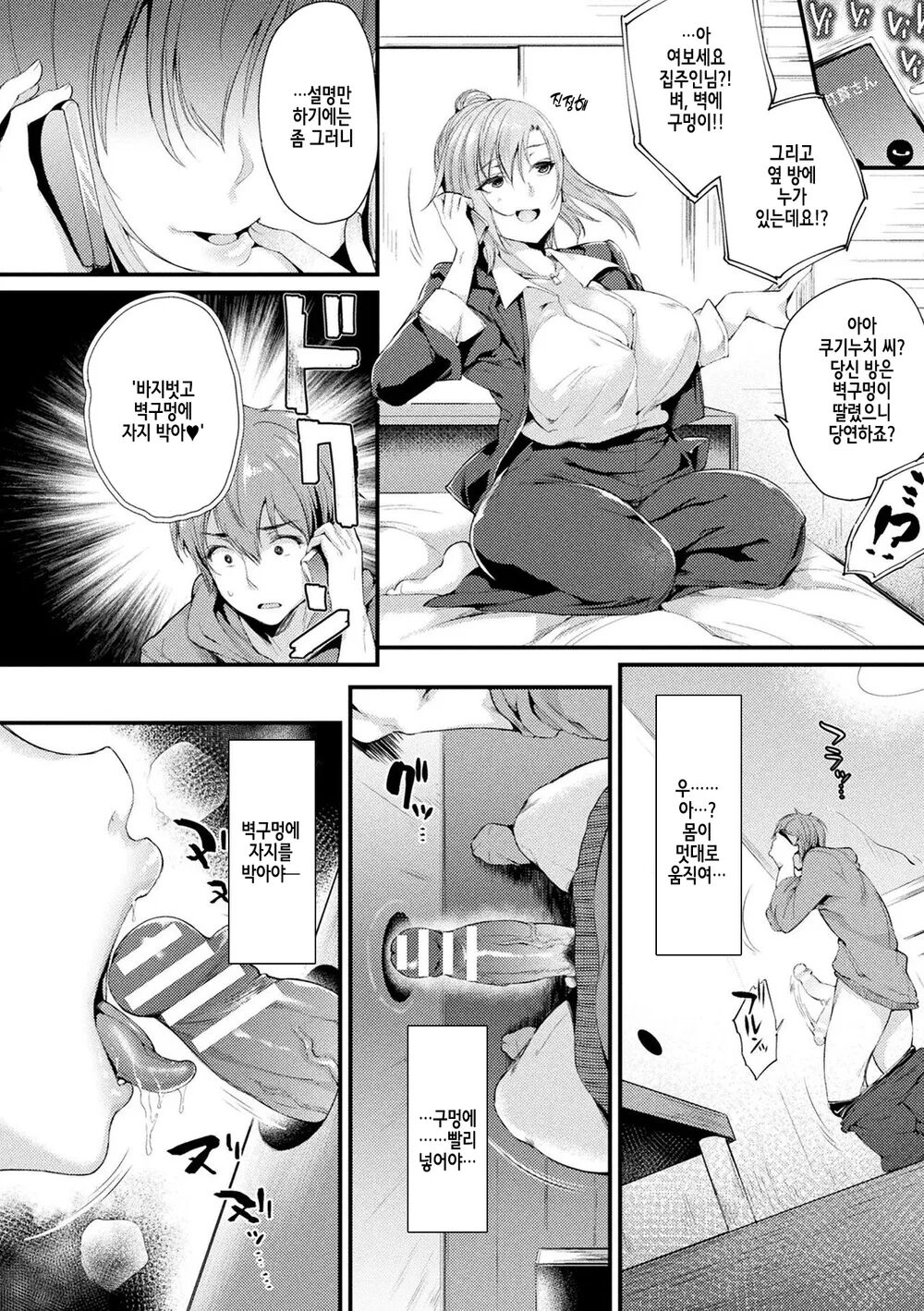 Hamekomi! -Kabeana Tsuki Juukyo e Youkoso- | 벽구멍이 붙은 주거에 오신 것을 환영합니다! page 8 full