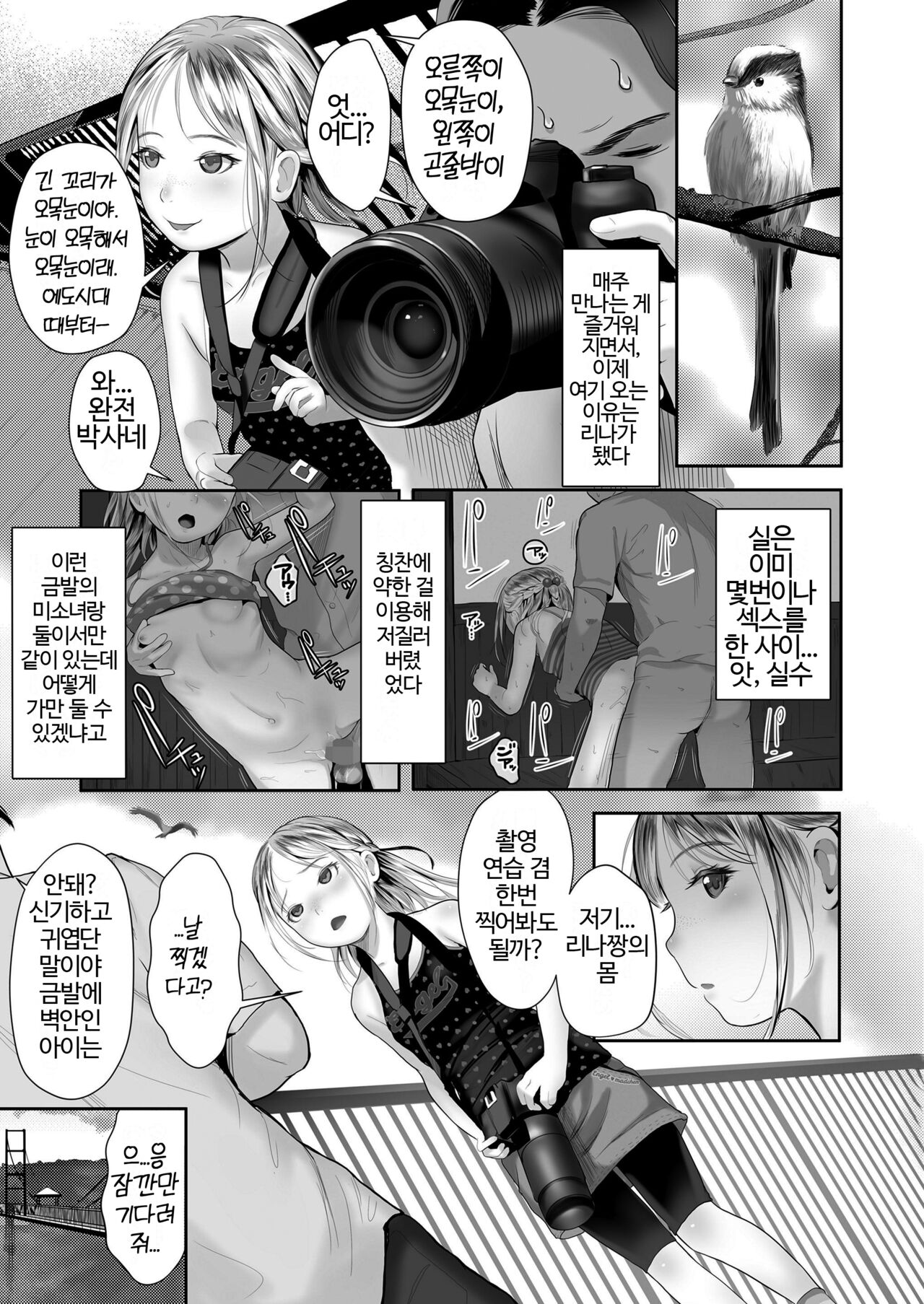 Sitzender Vogel page 4 full