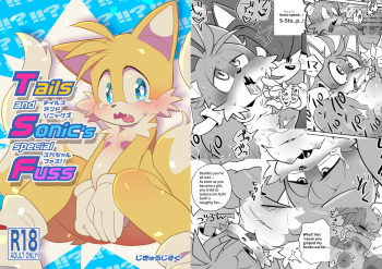 Tails and Sonic's special Fuss sample cover