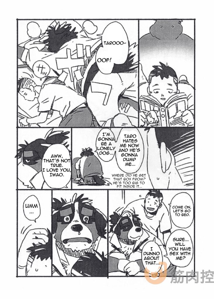 Bernese Bernese page 5 full