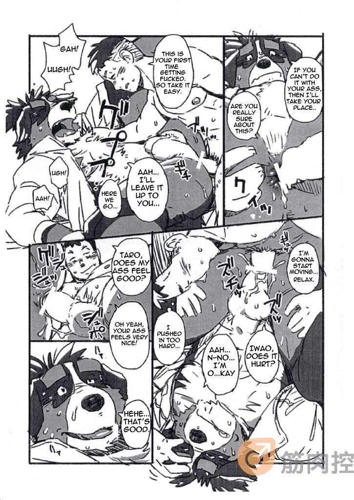 Bernese Bernese page 7 full