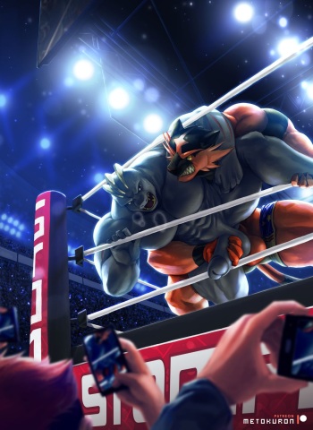Week 12 - Machoke + Incineroar cover