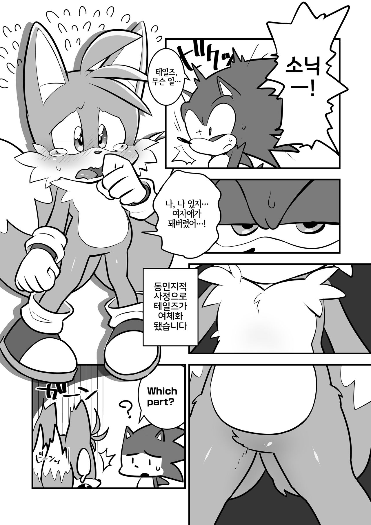 Tails and Sonic's special Fuss page 2 full