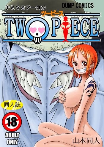 NAMI VS ARLONG cover