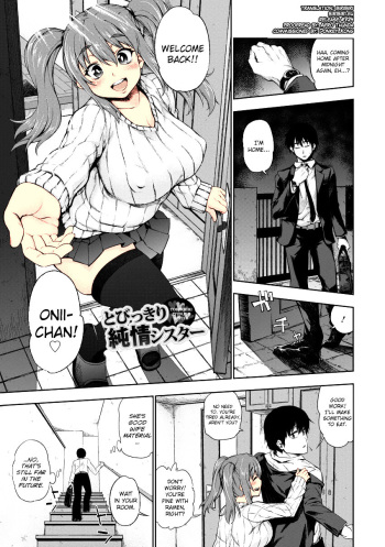 Tobikkiri Junjou Sister cover
