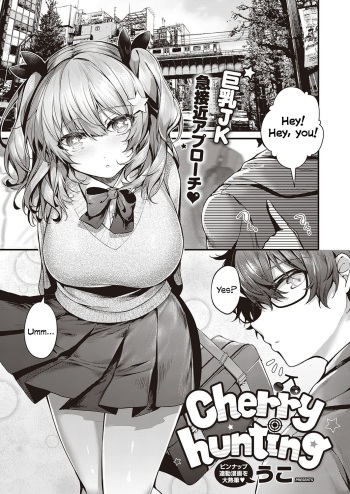 Cherry Hunting cover
