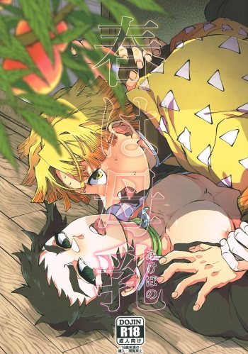 Haru wa bonyu cover
