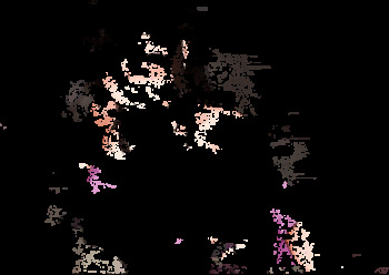 Ntraholic - gif cover