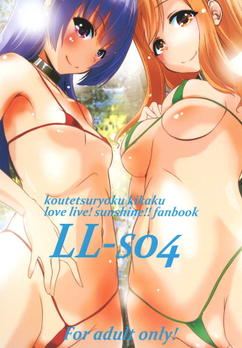 LL-SO4 cover