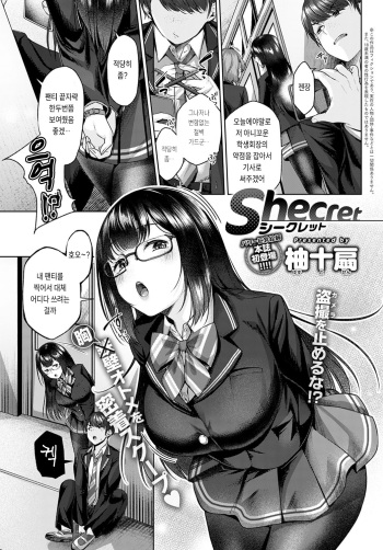Shecret cover