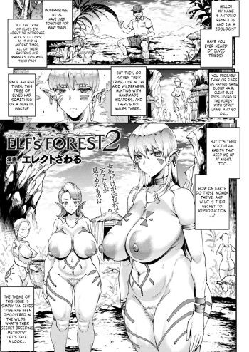 Elf's Forest 2 cover