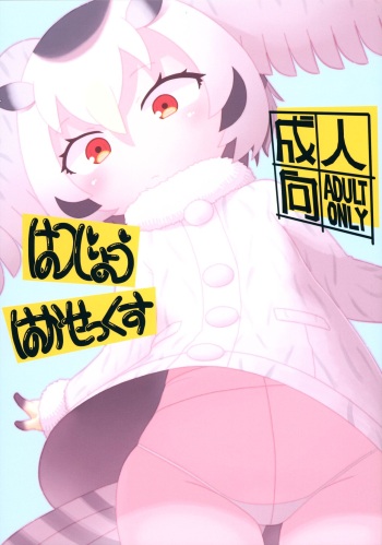 Hatsujou Hakasex cover
