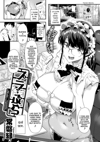 Pla-Pura PR-02 Tsukishima Misaki cover
