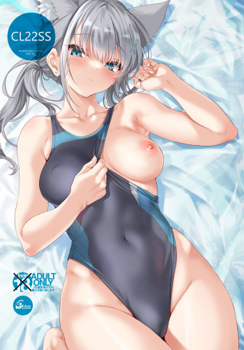 CL22SS cover