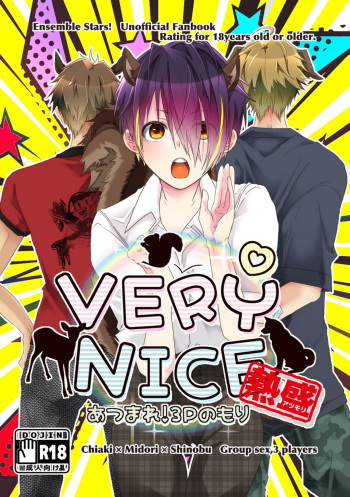 VERY NICE cover