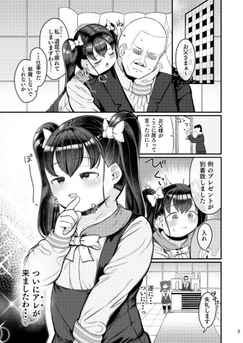 Ochinpo Daisuki Ojou-sama! cover