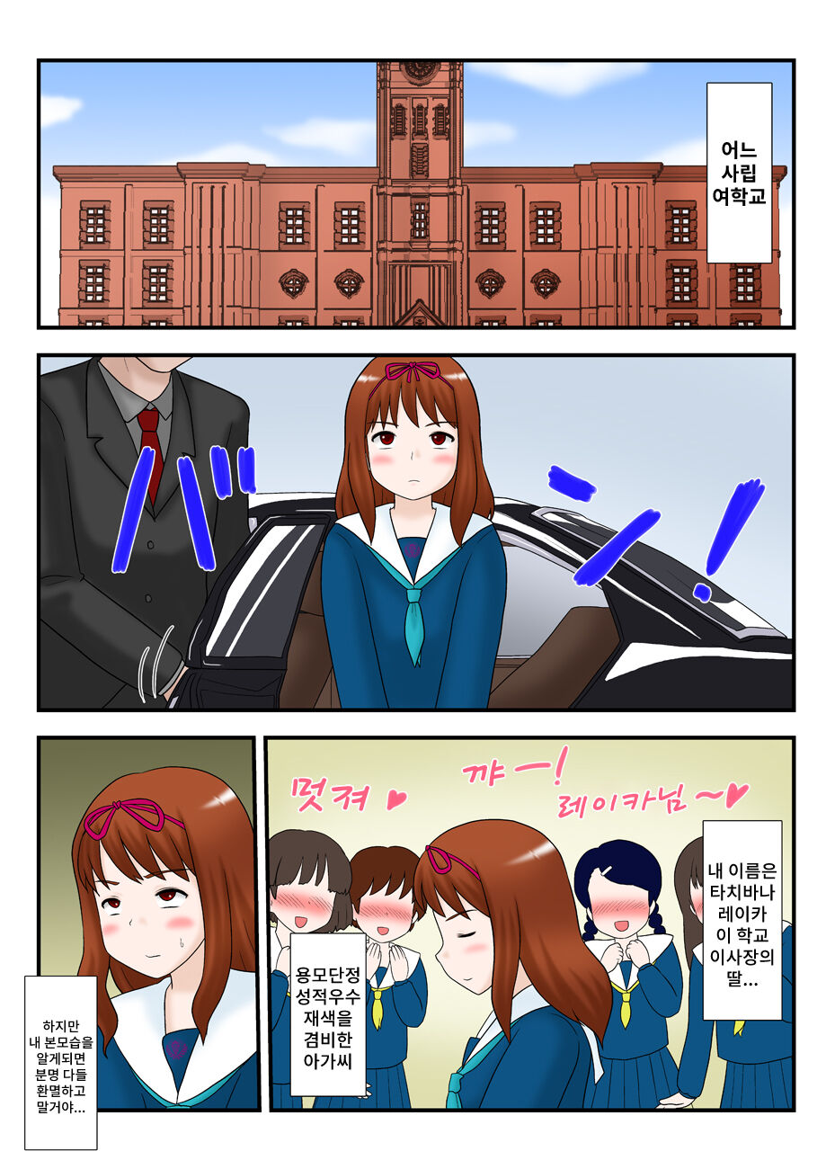 Toaru Ojou-sama no Haisetsu Yuugi | 어떤 아가씨의 배설유희 page 2 full