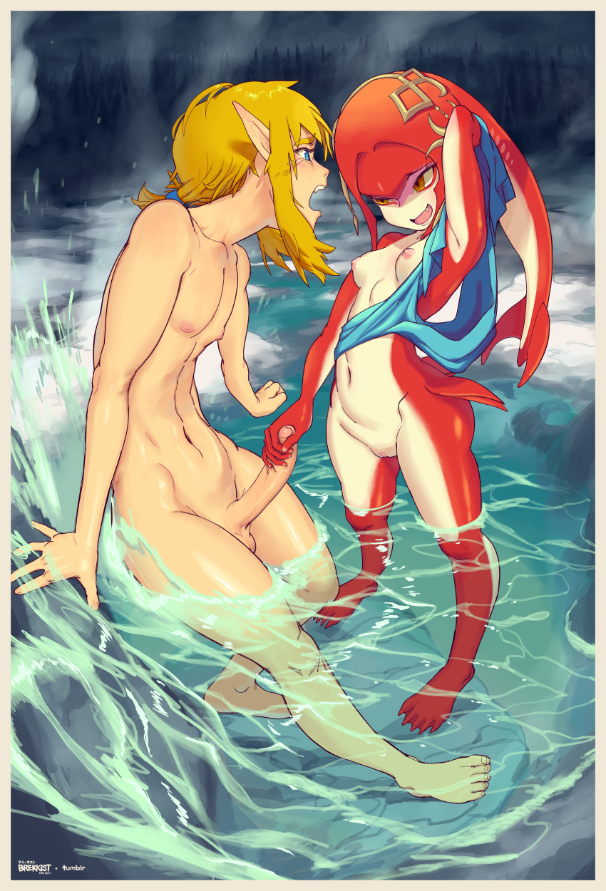 Nintendo | Mipha page 2 full