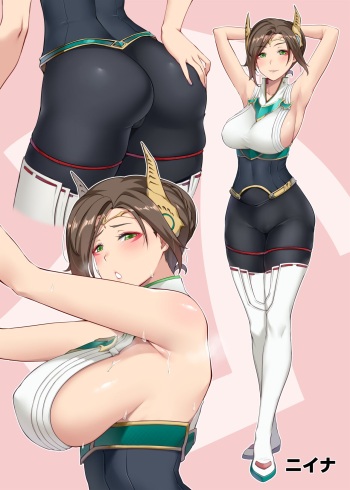 ニイナの漫画 cover