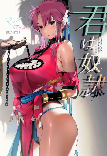 Kimi wa Dorei. cover