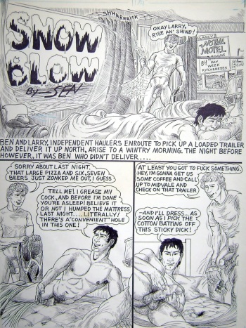 Snow Blow cover