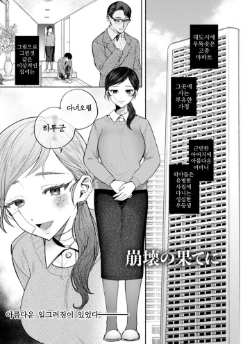 Houkai no Hate ni cover