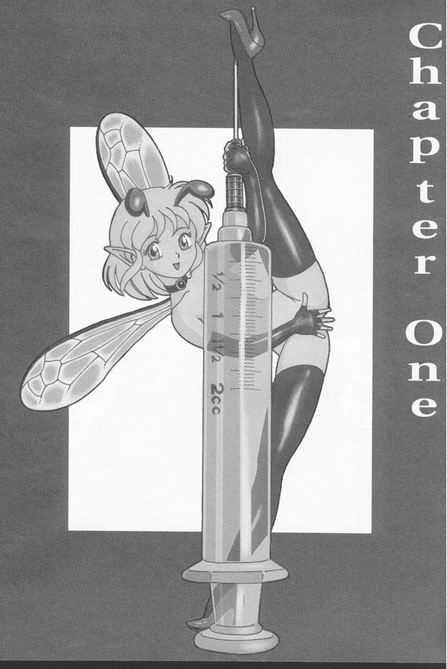 Bondage Fairies Extreme page 1 full