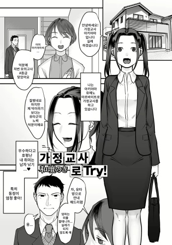 Katei Kyoushi De Try! cover