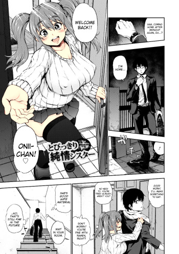 Tobikkiri Junjou Sister cover