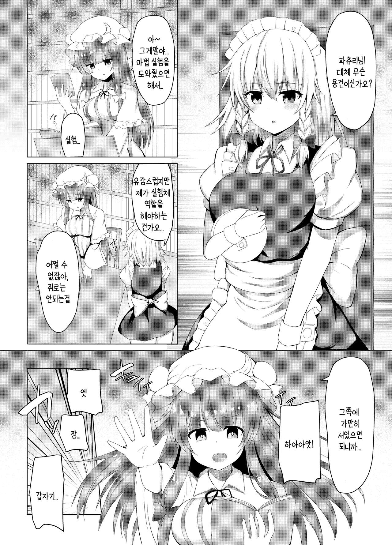 Patchouli no Jikken de Succubus ni Natta Sakuya-san | 파츄리의 실험으로 서큐버스가 된 사쿠야씨 page 4 full