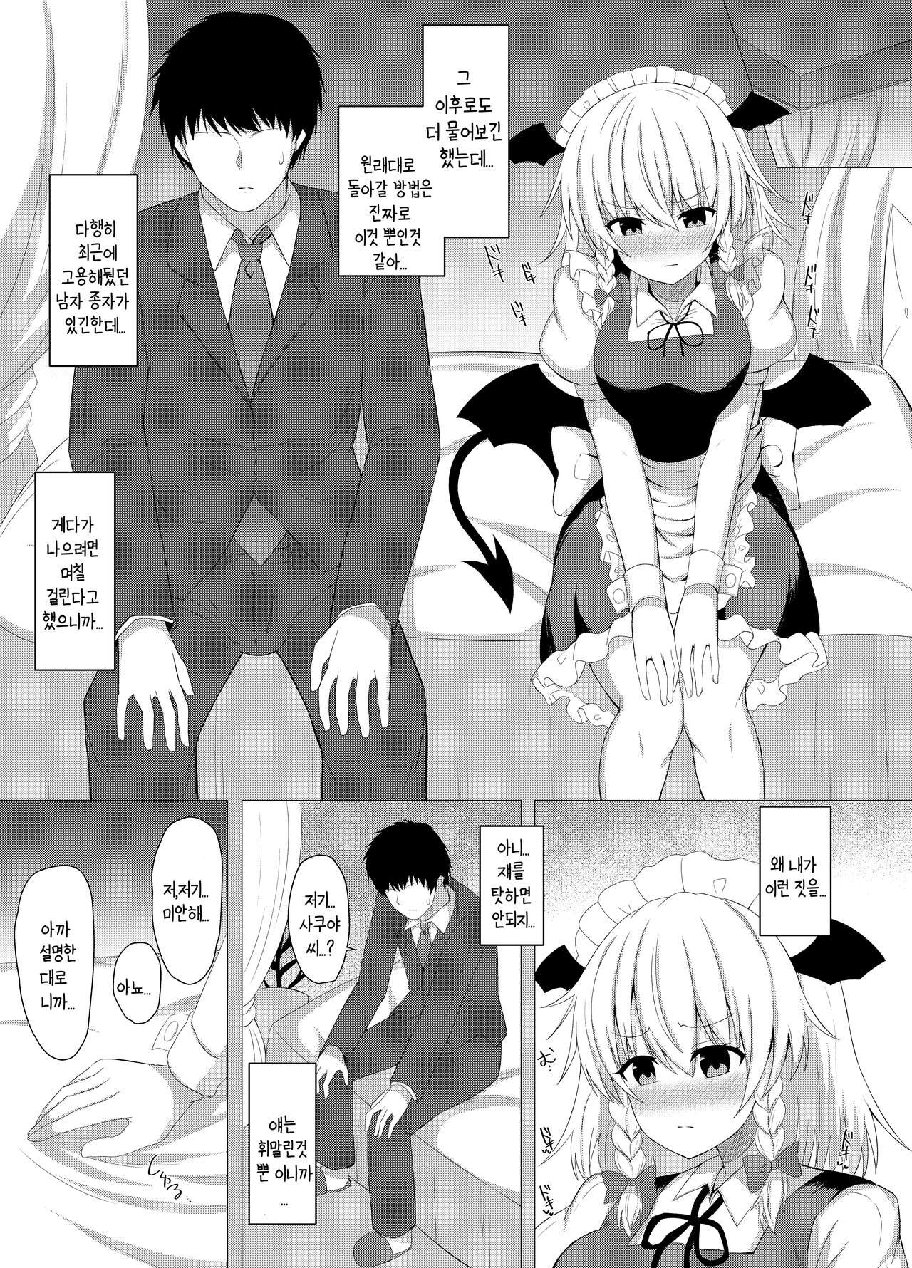 Patchouli no Jikken de Succubus ni Natta Sakuya-san | 파츄리의 실험으로 서큐버스가 된 사쿠야씨 page 7 full