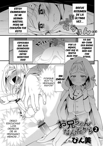 Onii-chan nan dakara 2 cover