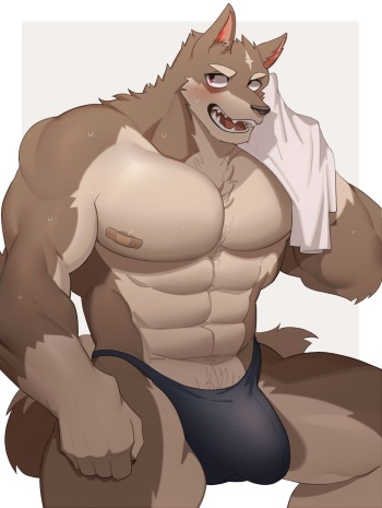 PATREON WORK 13 cover