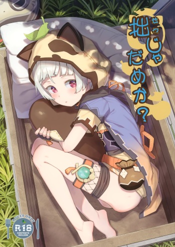 Setsu ja Dame ka? cover