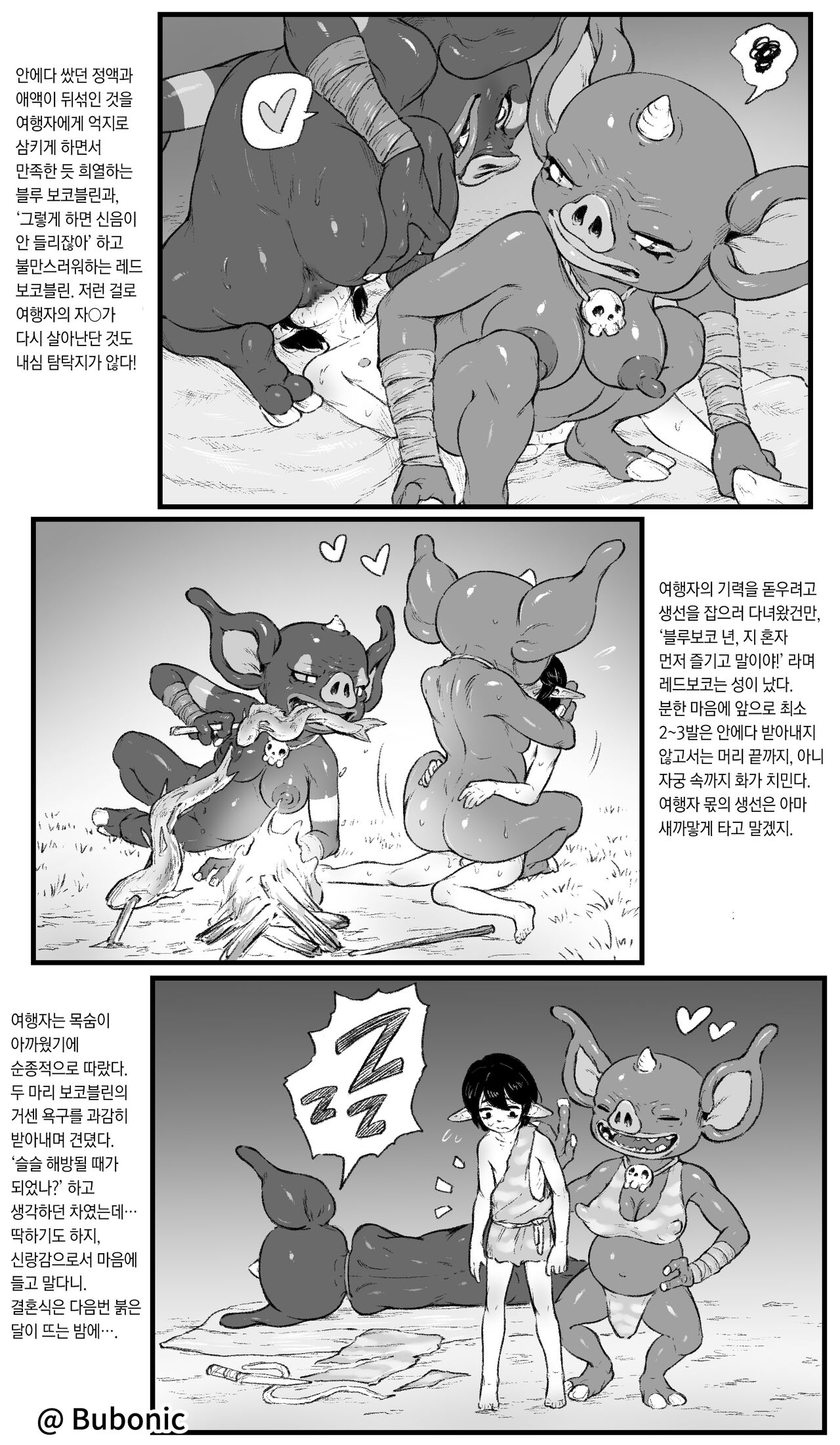 Mesu Bokoblin ni Osowareru Hanashi | 암컷 보코블린에게 덮쳐지는 이야기 page 10 full