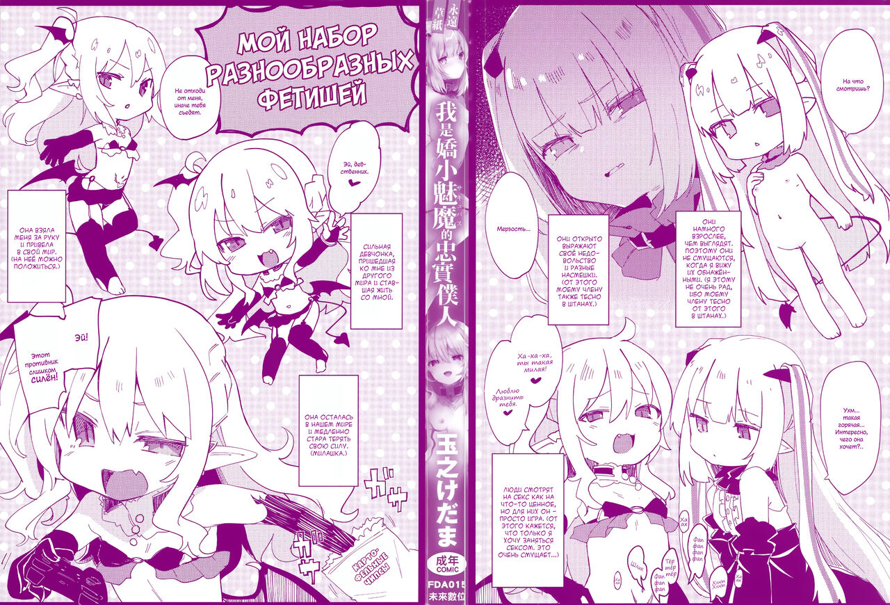 Boku wa Chiisana Succubus no Shimobe | I am a slave of a small succubus page 4 full
