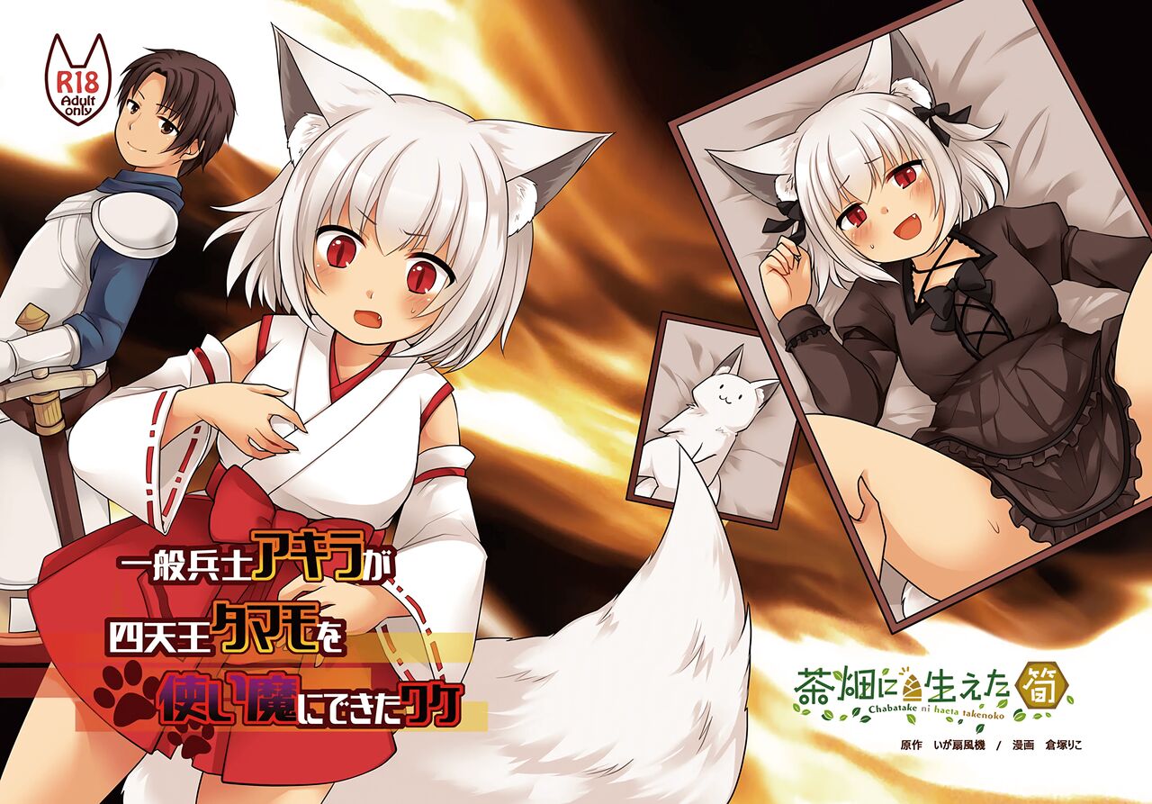 Ippan Heishi Akira ga Shitennou Tamamo wo Tsukaima ni Dekita Wake | 일반병사 아키라가 사천왕 타마모를 사역마로 만들었을 리가 page 2 full