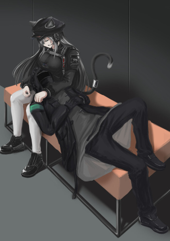 Schwarz cover