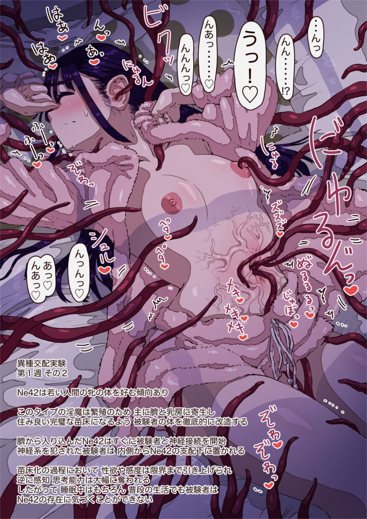 Heterosis Experiment No.033 page 2 full